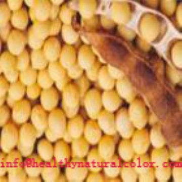 Soybean Isoflavones  